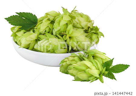 Hop cones in ceramic bowl isolated on white background. Beer brewing ingredients 141447442