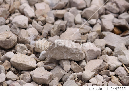 Washed dolomite gravel in beige, grey, and cream tones used for landscape design applications. Washed dolomite gravel in beige, grey, and cream tones used for landscape design applications. 141447635