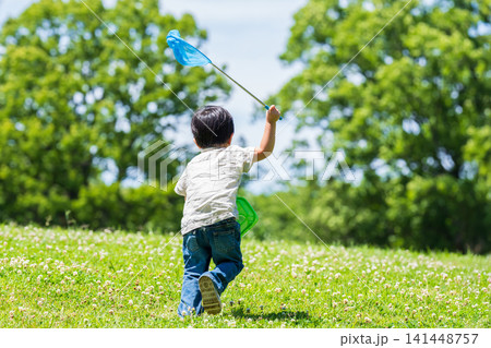 虫取り網を持って草原を駆ける男の子の後ろ姿 虫取り網を持って草原を駆ける男の子の後ろ姿 141448757