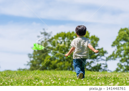 虫取り網を持って草原を駆ける男の子の後ろ姿 虫取り網を持って草原を駆ける男の子の後ろ姿 141448761