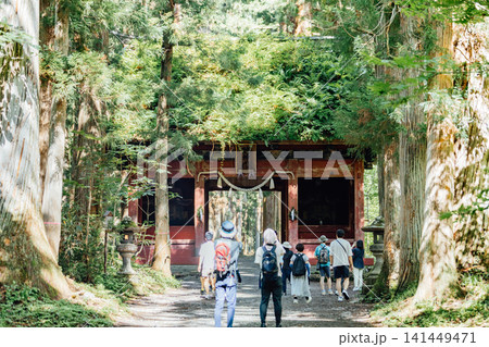 【長野市戸隠】戸隠神社奥社　随神門と杉並木の風景と観光客 141449471