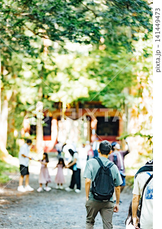 【長野市戸隠】戸隠神社奥社　随神門と杉並木の風景と観光客 141449473