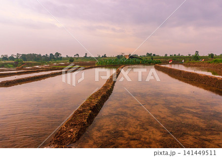 Aerial view of Jatiluwih rice terraces with water-filled paddies reflecting the golden hour sky, surrounded by lush tropical trees and a distant village in Penebel, Bali, Indonesia. Aerial view of Jatiluwih rice terraces with water-filled paddies reflecting the golden hour sky, surrounded by lush tropical trees and a distant village in Penebel, Bali, Indonesia. 141449511