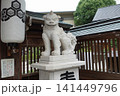 博多祇園祭　櫛田神社狛犬 141449796