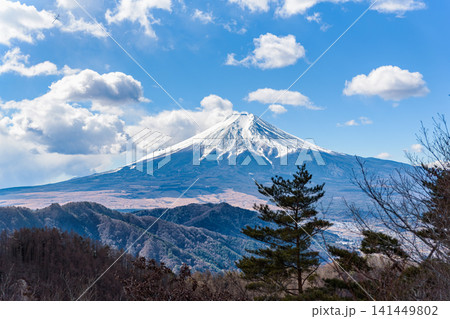 倉見山倉見山〜相定ヶ峰の尾根道から望む富士山のパノラマ〜相定ヶ峰の尾根道から望む富士山のパノラマ 倉見山倉見山〜相定ヶ峰の尾根道から望む富士山のパノラマ〜相定ヶ峰の尾根道から望む富士山のパノラマ 141449802