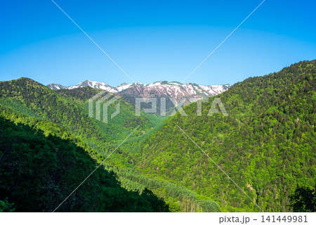 上高地乗鞍スーパー林道「白骨温泉展望台」から望む残雪の乗鞍岳と白骨温泉方面の新緑 上高地乗鞍スーパー林道「白骨温泉展望台」から望む残雪の乗鞍岳と白骨温泉方面の新緑 141449981