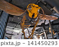 スズメバチの大型模型 141450293