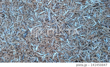 Natural Dry Wood Shavings and Mulch Texture Natural Dry Wood Shavings and Mulch Texture 141450847