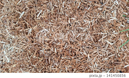 Golden Brown Dry Wood Shavings with Green Blade Golden Brown Dry Wood Shavings with Green Blade 141450856
