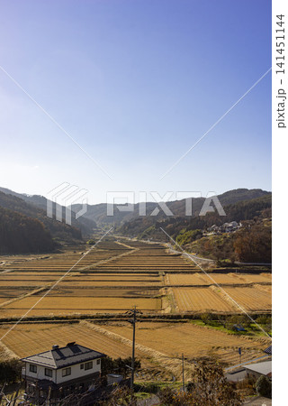 長野県田野口の収穫後の田んぼと里山の風景 長野県田野口の収穫後の田んぼと里山の風景 141451144