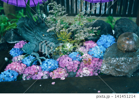 手水舎に浮かぶ紫陽花 手水舎に浮かぶ紫陽花 141451214
