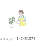 観葉植物に水やりをする女性のイラスト 141451574
