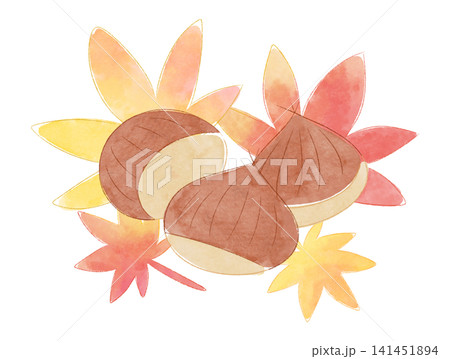 ゆるかわな栗と紅葉のイラスト　水彩風 141451894