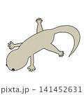 やもり 141452631