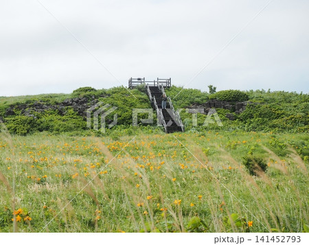 富士野園地 富士野園地 141452793