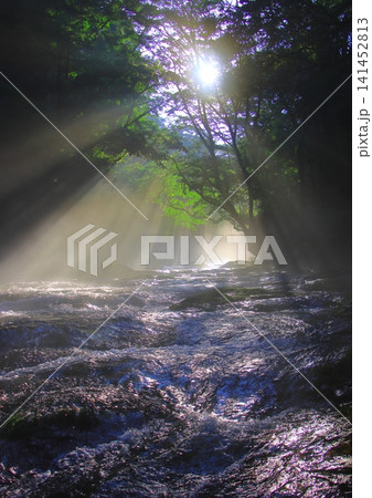 美しい光芒の出る菊池渓谷（菊池市・縦構図） 141452813