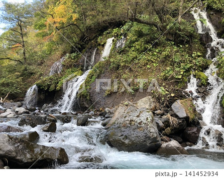 清里・吐竜の滝 秋の渓流と美しい滝(山梨県北杜市) 清里・吐竜の滝 秋の渓流と美しい滝(山梨県北杜市) 141452934