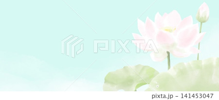 水彩風の淡い蓮の花の横長の背景イラスト 水彩風の淡い蓮の花の横長の背景イラスト 141453047