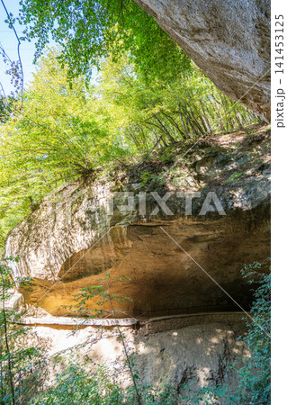 Majestic rocky cliffs, caves and towering trees. View of the rocks in Kislovodsk, Russia. Majestic rocky cliffs, caves and towering trees. View of the rocks in Kislovodsk, Russia. 141453125