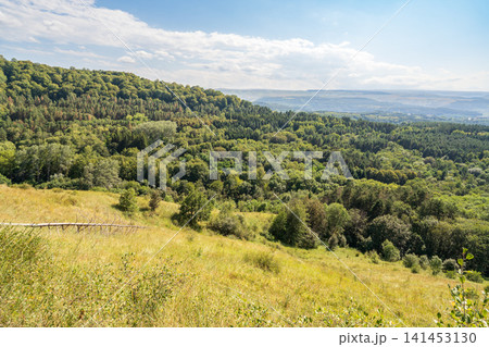 Summer Mountains Landscape with Green forest. Summer Mountains Landscape with Green forest. 141453130