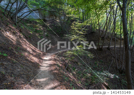 Curve road to the mountains. Scenic dirt road with mountain range. Curve road to the mountains. Scenic dirt road with mountain range. 141453149
