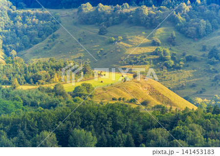 Summer Mountains Landscape with Green forest. Summer Mountains Landscape with Green forest. 141453183