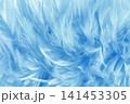 Beautiful blue pastel bird feathers pattern texture background. 141453305