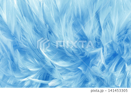 Beautiful blue pastel bird feathers pattern texture background. Beautiful blue pastel bird feathers pattern texture background. 141453305