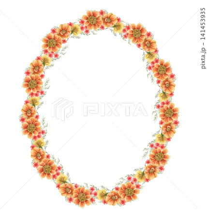 French marigold oval wreath watercolor illustration. Hand drawn Tagetes patula with copy space in vibrant botanical style. Floral colorful template for greeting card. Autumn invitation ellipse design. 141453935