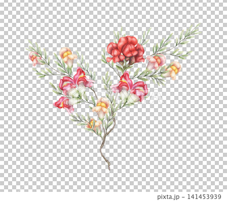 Snapdragon red and pink flower shrub watercolor illustration. Hand drawn antirrhinum majus bouquet with texture green leaves. Floral design for summer invitation postcard. Natural botanical template. Snapdragon red and pink flower shrub watercolor illustration. Hand drawn antirrhinum majus bouquet with texture green leaves. Floral design for summer invitation postcard. Natural botanical template. 141453939