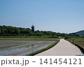 岡山県総社市備中国分寺五重塔塔へ続く初夏のまなざし 141454121