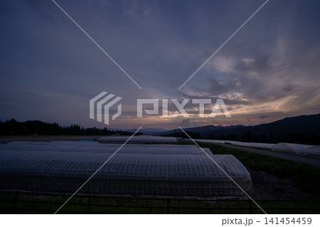 夕暮れのビニールハウスと田園風景 夕暮れのビニールハウスと田園風景 141454459
