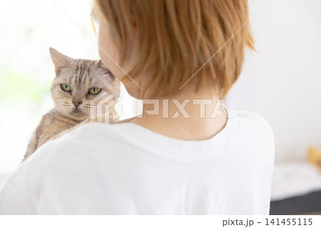 飼い主に抱っこされる白いアメリカンショートヘア 141455115
