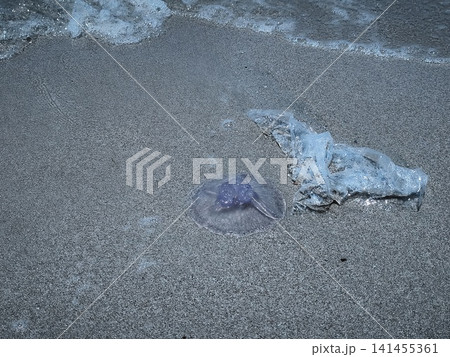 Close ups of washed up jellyfish and scattered plastic debris on the ocean shore and sea, highlighting the stark contrast and pressing issue of environmental pollution and marine waste. Close ups of washed up jellyfish and scattered plastic debris on the ocean shore and sea, highlighting the stark contrast and pressing issue of environmental pollution and marine waste. 141455361
