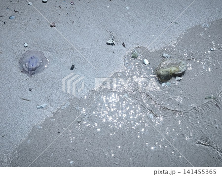 Close ups of washed up jellyfish and scattered plastic debris on the ocean shore and sea, highlighting the stark contrast and pressing issue of environmental pollution and marine waste. Close ups of washed up jellyfish and scattered plastic debris on the ocean shore and sea, highlighting the stark contrast and pressing issue of environmental pollution and marine waste. 141455365