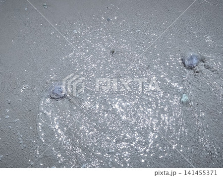 Close ups of washed up jellyfish and scattered plastic debris on the ocean shore and sea, highlighting the stark contrast and pressing issue of environmental pollution and marine waste. Close ups of washed up jellyfish and scattered plastic debris on the ocean shore and sea, highlighting the stark contrast and pressing issue of environmental pollution and marine waste. 141455371