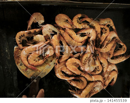 A close-up of cooked, flavorful, and delicious rolled shrimp arranged in various combinations on dark surfaces, showcasing their warm orange-brown hue, textured shells, and natural curves. A close-up of cooked, flavorful, and delicious rolled shrimp arranged in various combinations on dark surfaces, showcasing their warm orange-brown hue, textured shells, and natural curves. 141455539