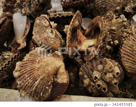 Pile of raw oysters with irregular brown shells and textured surfaces, showcasing natural marine patterns on a neutral background. 141455585