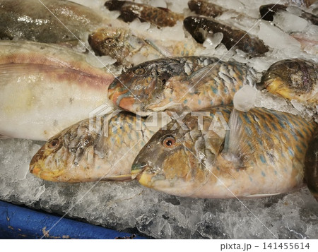 Fresh carp fish displayed on ice with natural texture and muted earthy tones, close up market still life 141455614