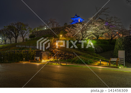 浜松市のライトアップされた浜松城と桜の風景(静岡県) 浜松市のライトアップされた浜松城と桜の風景(静岡県) 141456309