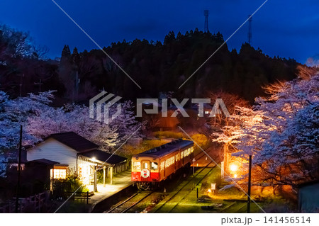 小湊鉄道と夜桜 141456514