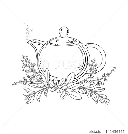 Sage Tea in Teapot Outline Illustration. Sage Tea in Teapot Outline Illustration. 141456565