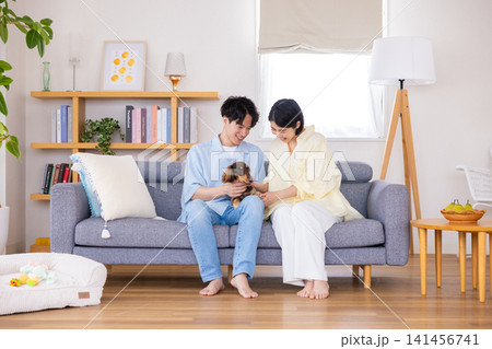 ファミリー 犬のいる暮らし 夫婦と愛犬のポートレート ファミリー 犬のいる暮らし 夫婦と愛犬のポートレート 141456741