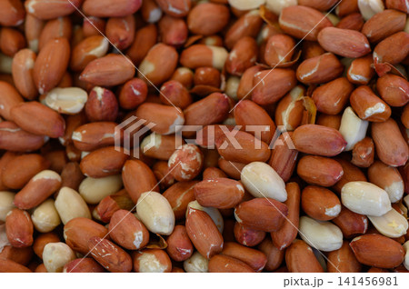 Peanut harvest nestled in earthy hues showcasing the natural bounty of a farm during the golden hour of a late summer evening Peanut harvest nestled in earthy hues showcasing the natural bounty of a farm during the golden hour of a late summer evening 141456981