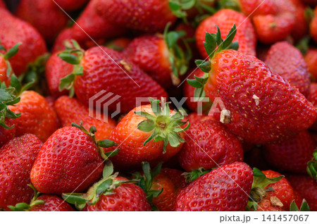 Delicious red strawberries piled high at the local market in the afternoon sun, inviting fruit lovers to indulge in their sweet flavor Delicious red strawberries piled high at the local market in the afternoon sun, inviting fruit lovers to indulge in their sweet flavor 141457067