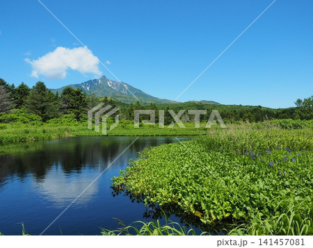 南浜湿原 南浜湿原 141457081