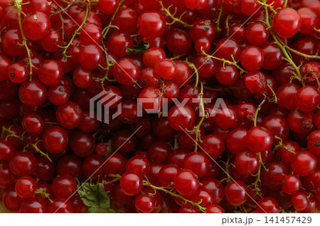redcurrants clustered together on a wooden surface in a fresh and vibrant market setting close-up top-down perspective. red and green fruits displayed naturally. redcurrants clustered together on a wooden surface in a fresh and vibrant market setting close-up top-down perspective. red and green fruits displayed naturally. 141457429