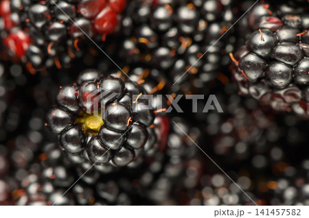 blackberries arranged in clusters on a dark background with bokeh effect, delicious and fresh fruit close-up shot from above for food photography and healthy eating. blackberries arranged in clusters on a dark background with bokeh effect, delicious and fresh fruit close-up shot from above for food photography and healthy eating. 141457582