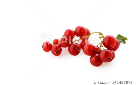 Fresh red currants shining brightly against a clean white background Fresh red currants shining brightly against a clean white background 141457872