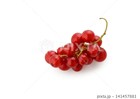 Bright red currants glistening under soft light, showcasing nature's bounty in a vibrant cluster Bright red currants glistening under soft light, showcasing nature's bounty in a vibrant cluster 141457881